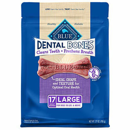 Picture of Blue Buffalo Dental Bones Large Natural Dental Chew Dog Treats, (50 lbs and up) 27-oz Bag Value Pack