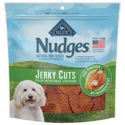 Picture of Blue Buffalo Nudges Jerky Cuts Natural Dog Treats, Chicken, 16oz Bag
