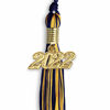 Picture of Endea Graduation Mixed Double Color Tassel with Gold Date Drop (Navy Blue/Gold, 2022)