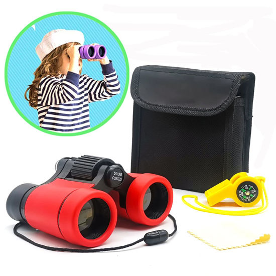 Best small bird shop watching binoculars