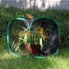 Picture of RESTCLOUD Insect and Butterfly Habitat Cage Terrarium Pop-up 12 X 12 X 12 Inches