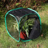 Picture of RESTCLOUD Insect and Butterfly Habitat Cage Terrarium Pop-up 12 X 12 X 12 Inches