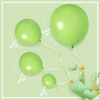 Picture of MOMOHOO Lime Green Balloons Garland - 100Pcs 18/12/10/5 Inch Light Green Balloons Different Sizes, Green Latex Balloons for Dinosaur Party Decorations, Balloons Green for Safari Baby Shower Decoration