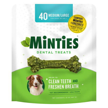 Picture of Minties VetIQ Dog Dental Bone Treats, Dental Chews for Medium/Large Dogs (Over 40 Lbs), 32 Ounces, Green, 40 Count