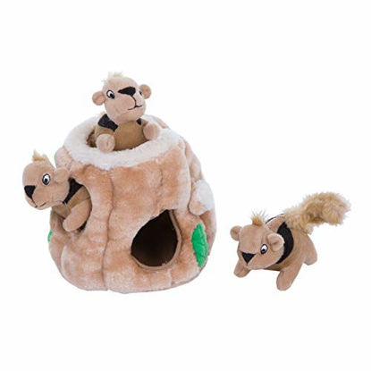 Picture of Outward Hound Hide A Squirrel Plush Dog Toy Puzzle, Small