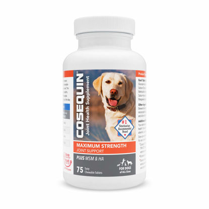 Picture of Nutramax Cosequin Maximum Strength Joint Health Supplement for Dogs - With Glucosamine, Chondroitin, MSM, and Hyaluronic Acid, 75 Chewable Tablets (Pack of 1)