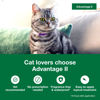 Picture of Advantage II Small Cat Vet-Recommended Flea Treatment & Prevention | Cats 5-9 lbs. | 6-Month Supply