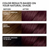 Picture of L'Oreal Paris Feria Multi-Faceted Shimmering Permanent Hair Color, Chocolate Cherry, Pack of 2, Hair Dye