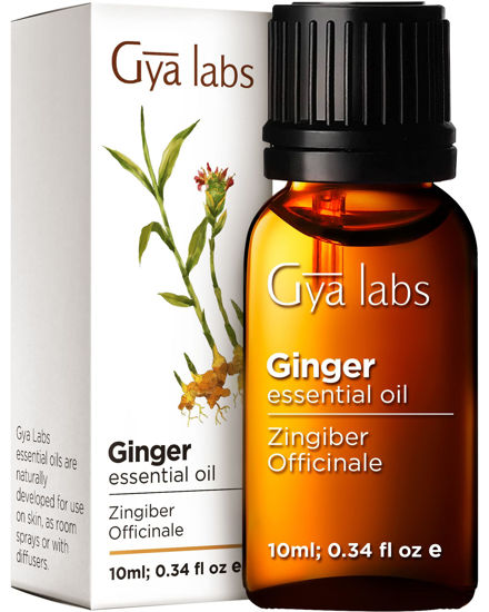 Picture of Gya Labs Ginger Oil for Comfort - Natural Ginger Essential Oil for Massage Oil - Ginger Oil for Hair, Skin & Diffuser (0.34 fl oz)