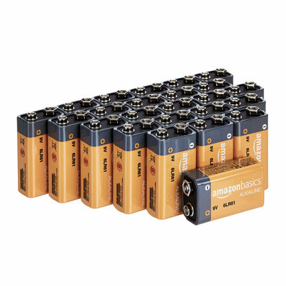 Picture of Amazon Basics 24-Pack 9 Volt Alkaline Performance All-Purpose Batteries, 5-Year Shelf Life, Packaging May Vary