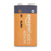 Picture of Amazon Basics 24-Pack 9 Volt Alkaline Performance All-Purpose Batteries, 5-Year Shelf Life, Packaging May Vary