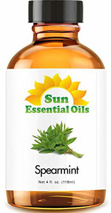 Picture of Sun Essential Oils 4oz - Spearmint Essential Oil - 4 Fluid Ounces