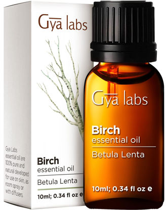 Picture of Gya Labs Birch Essential Oil (0.34 fl oz) - Sweet, Minty & Camphorous Scent