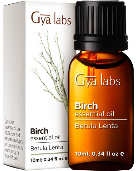 Picture of Gya Labs Birch Essential Oil (0.34 fl oz) - Sweet, Minty & Camphorous Scent
