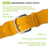 Picture of Champion Sports Adult Baseball/Softball Uniform Belt , Gold/Yellow