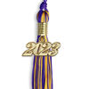 Picture of Endea Graduation Mixed Double Color Tassel with Gold Date Drop (Purple/Gold, 2023)