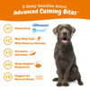 Picture of Zesty Paws Calming Chews for Dogs - Composure & Relaxation for Everyday Stress & Separation - with Ashwagandha, Organic Chamomile, L-Theanine & L-Tryptophan - Turkey Melatonin - 90 Count