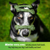 Picture of Minties VetIQ Dog Dental Bone Treats, Dental Chews for Medium/Large Dogs (Over 40 Lbs), 8 Count