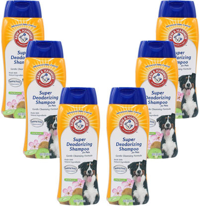 Picture of Arm & Hammer for Pets Super Deodorizing Shampoo for Dogs | Best Odor Eliminating Dog Shampoo | Great for All Dogs & Puppies, Fresh Kiwi Blossom Scent, 20 oz, 6-Pack