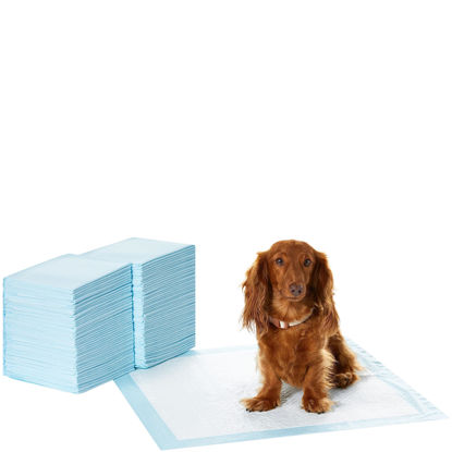 Picture of Amazon Basics Leak-Proof, 5-Layer, Scented Dog Pee Pads for Potty Training, 22x22 inches-Pack of 100