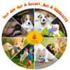 Picture of KIPRITII Dog Chew Toys for Puppy - 20 Pack Puppies Teething Chew Toys for Boredom, Pet Dog Toothbrush Chew Toys with Rope Toys, Treat Balls and Dog Squeaky Toy for Puppy and Small Dogs