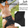 Picture of rabbitgoo Dog Harness, No-Pull Pet Harness with 2 Leash Clips, Adjustable Soft Padded Dog Vest, Reflective No-Choke Pet Oxford Vest with Easy Control Handle for Small Dogs, Black, X-Small