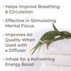 Picture of Plant Therapy Organic Eucalyptus Globulus Essential Oil 100% Pure, USDA Certified Organic, Undiluted, Natural Aromatherapy, Therapeutic Grade 10 mL (1/3 oz)