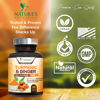 Picture of Turmeric Curcumin with BioPerine & Ginger 95% Standardized Curcuminoids 1950mg - Black Pepper for Max Absorption, Natural Joint Support, Nature's Tumeric Extract Supplement, Vegan - 240 Capsules