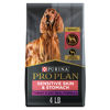 Picture of Purina Pro Plan Sensitive Skin and Stomach Dog Food with Probiotics for Dogs, Turkey & Oat Meal Formula - 4 lb. Bag