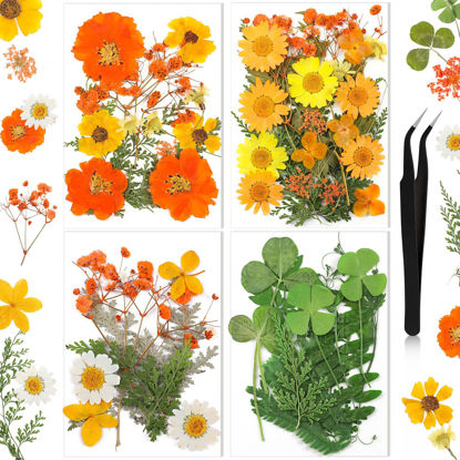 Picture of Nuanchu Pressed Flowers Resin Flowers for Resin Mold, Real Daisy Dried Flower Leaves Natural with Tweezers for Scrapbooking DIY Candle Accessories Jewelry Crafts Making (Elegant Style)