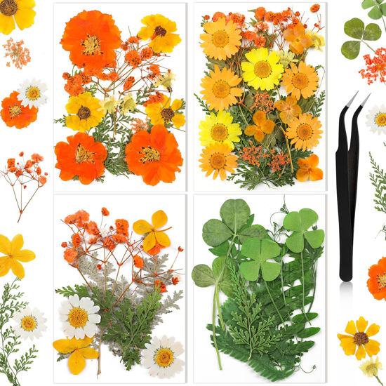 Picture of Nuanchu Pressed Flowers Resin Flowers for Resin Mold, Real Daisy Dried Flower Leaves Natural with Tweezers for Scrapbooking DIY Candle Accessories Jewelry Crafts Making (Elegant Style)