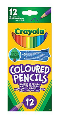 Picture of Crayola Colouring Pencils - Assorted Colours (Pack of 12) | A Must-Have for All Kids Arts & Crafts Sets | Ideal for Kids Aged 3+