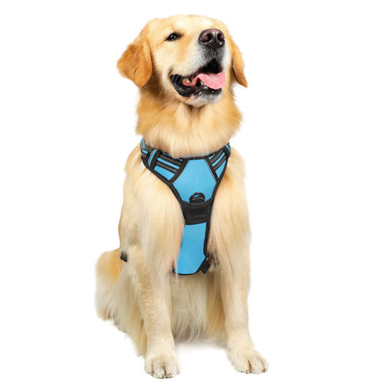GetUSCart rabbitgoo Dog Harness No Pull Pet Harness with 2 Leash Clips Adjustable Soft Padded Dog Vest Reflective No Choke Pet Oxford Vest with Easy Control Handle for Large Dogs Blue L