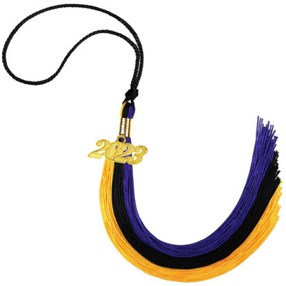 Picture of Graduation Tassel Academic Graduation Tassel with 2023 Year Charm Ceremonies Accessories for Graduates (Purple, Black and Gold)