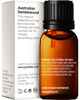 Picture of Gya Labs Australian Sandalwood Essential Oil for Diffuser - Natural Australian Sandalwood Oil for Skin & Aromatherapy (0.34 Fl Oz)