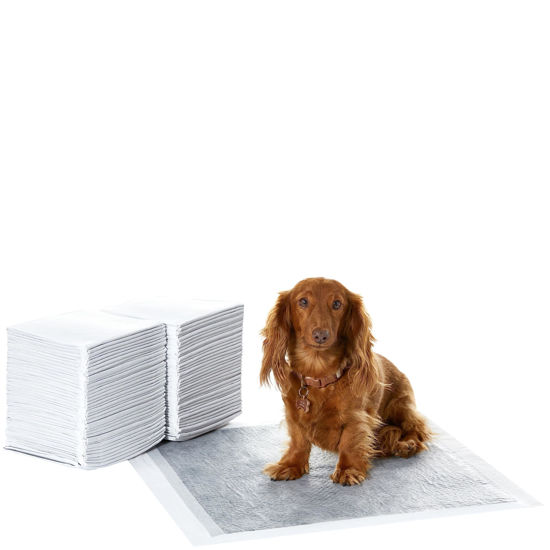 GetUSCart Amazon Basics Odor Control Carbon Dog and Puppy