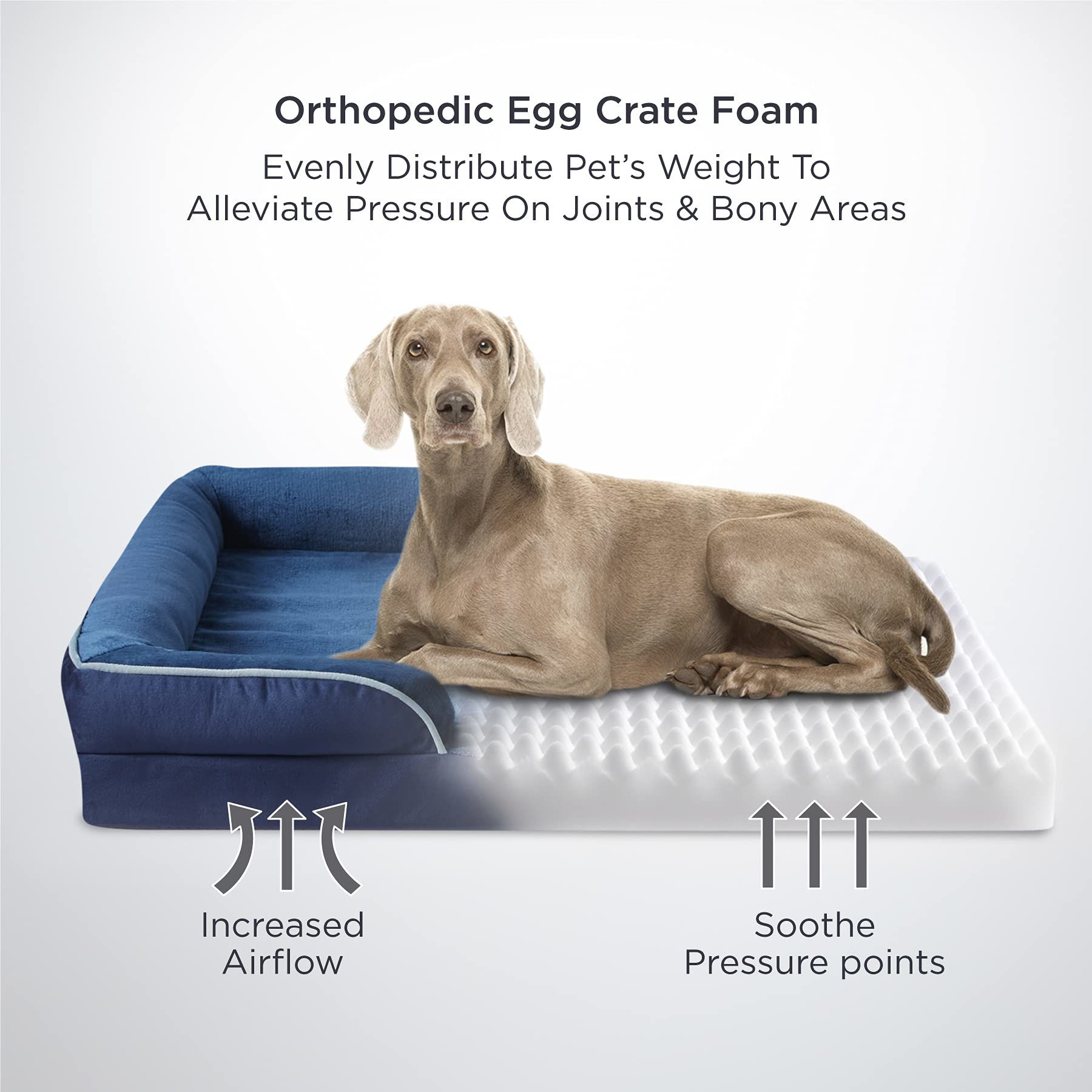 Curated visual reference: Fresh Look at Getuscart Bedsure Small Orthopedic Dog Bed Bolster Dog Beds For