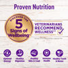 Picture of Wellness Complete Health Small Breed Dry Dog Food with Grains, Natural Ingredients, Made in USA with Real Turkey, For Dogs Up to 25 lbs. (Puppy, Turkey, Salmon & Oatmeal, 4-Pound Bag)