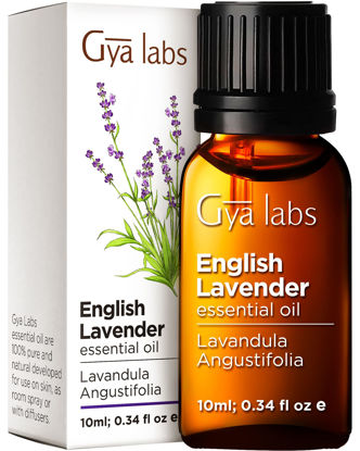 Picture of Gya Labs English Lavender Oil Essential Oil for Diffuser- Lavender Oil Essential Oils for Skin - Lavender Essential Oil for Hair (0.34 Fl Oz)