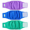 Picture of wegreeco Washable Dog Diapers - Washable Male Dog Belly Wrap - Pack of 3 - (Blue,Green,Purple,X-Large)