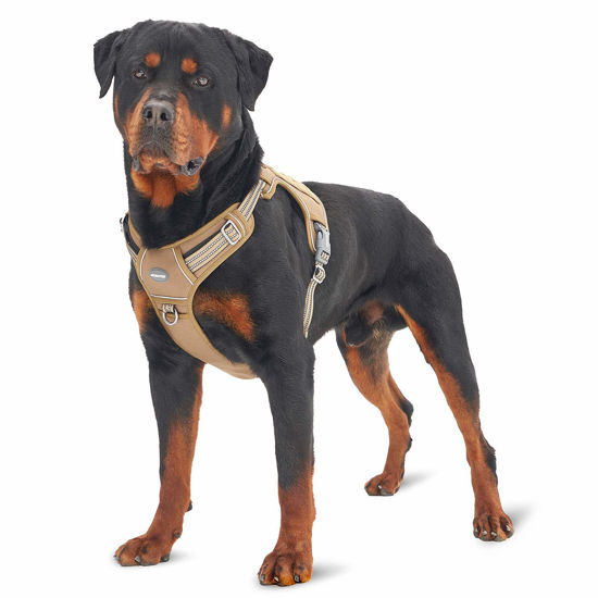 Large dog tactical vest online