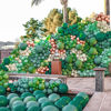 Picture of PartyWoo Green Balloons, 120 pcs 5 Inch Hunter Green Balloons, Latex Balloons for Balloon Garland Balloon Arch as Party Decorations, Birthday Decorations, Wedding Decorations, Baby Shower Decorations