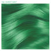 Picture of Adore Semi Permanent Hair Color - Vegan and Cruelty-Free Hair Dye - 4 Fl Oz - 194 Sweet Mint (Pack of 1)