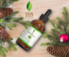 Picture of SVA ORGANICS Pine Needle Essential Oil Large Size 4 OZ (118 ML) Therapeutic Grade, 100% Pure Premium Grade Oil for Skin and Hair Care