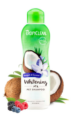 Picture of TropiClean Awapuhi Coconut Whitening Dog Shampoo for White Coats & All Coat Types | Natural Pet Shampoo Derived from Natural Ingredients | Cat Friendly | Made in the USA | 20 oz.