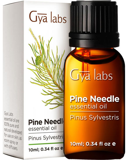 Picture of Gya Labs Pine Essential Oils for Diffuser - 100% Pure Therapeutic Grade Fall Pine Oil Essential Oils - Undiluted Pine Essential Oil for Candle Making (0.34 fl oz)