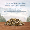 Picture of Blue Buffalo Wilderness Grain Free Soft-Moist Cat Treats, Chicken & Trout 2-oz Bag