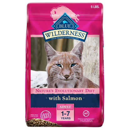 Picture of Blue Buffalo Cat Food, Natural Salmon Recipe, High Protein, Adult Dry Cat Food, 5 lb bag