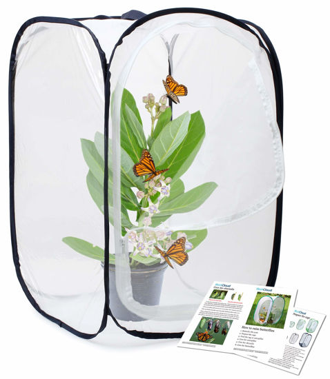 Picture of RESTCLOUD Insect and Butterfly Habitat Cage Terrarium Pop-up 23.6 Inches Tall