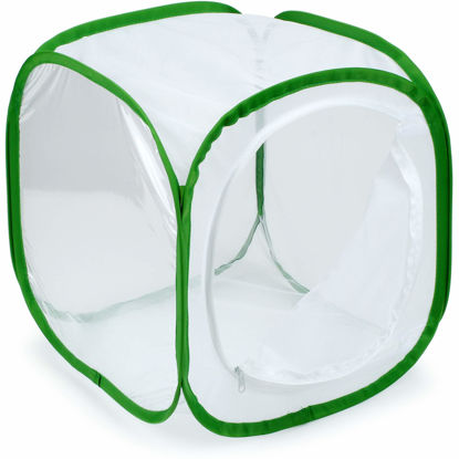 Picture of RESTCLOUD Insect and Butterfly Habitat Cage Terrarium Pop-up 12 X 12 X 12 Inches